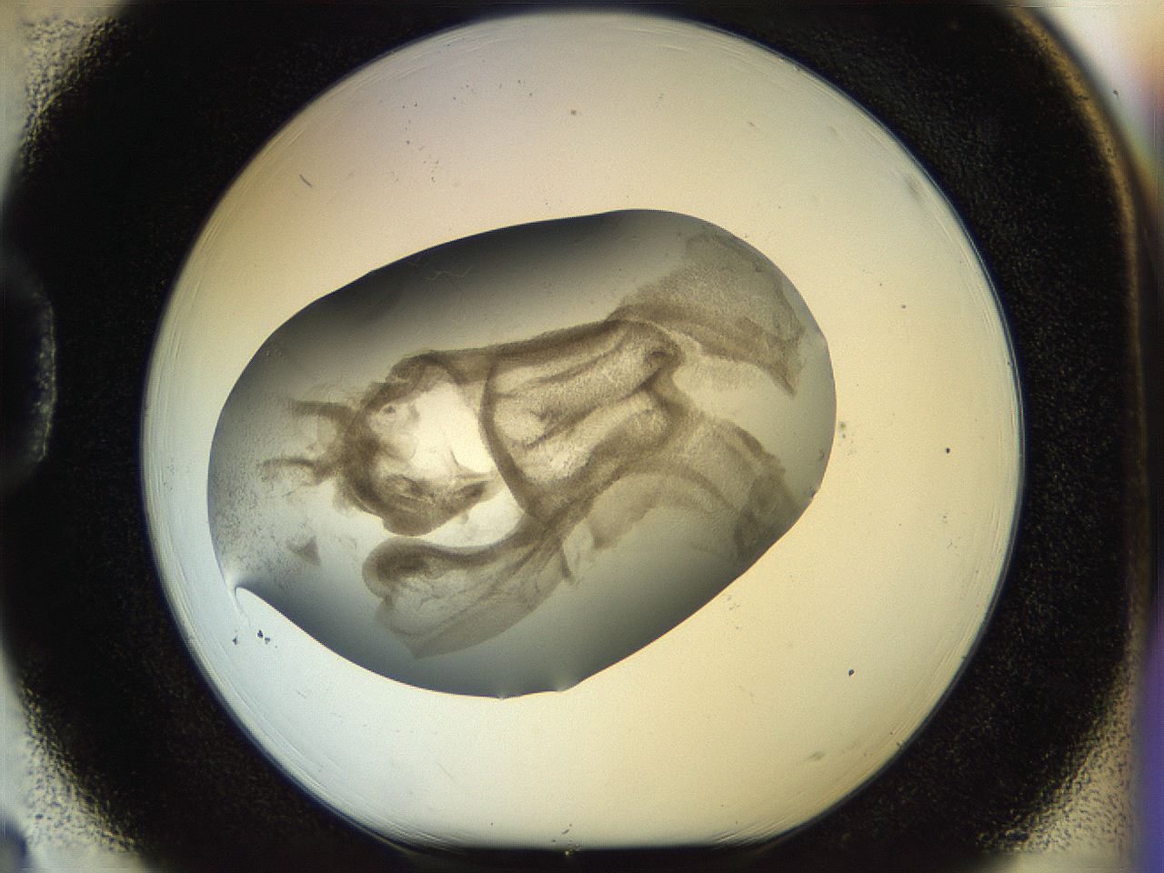 056m_D3_ImagerDefaults_3.jpg