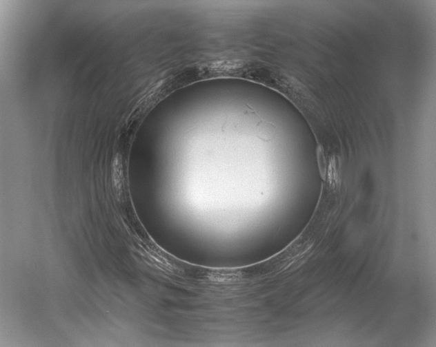 X0000055061299200508161635.png