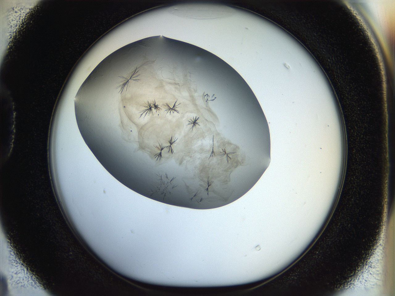 056m_D4_ImagerDefaults_7.jpg