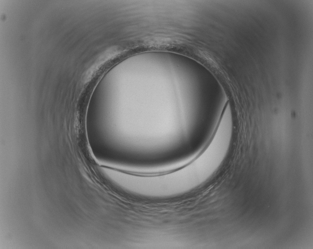 X0000054650583200508091644.png
