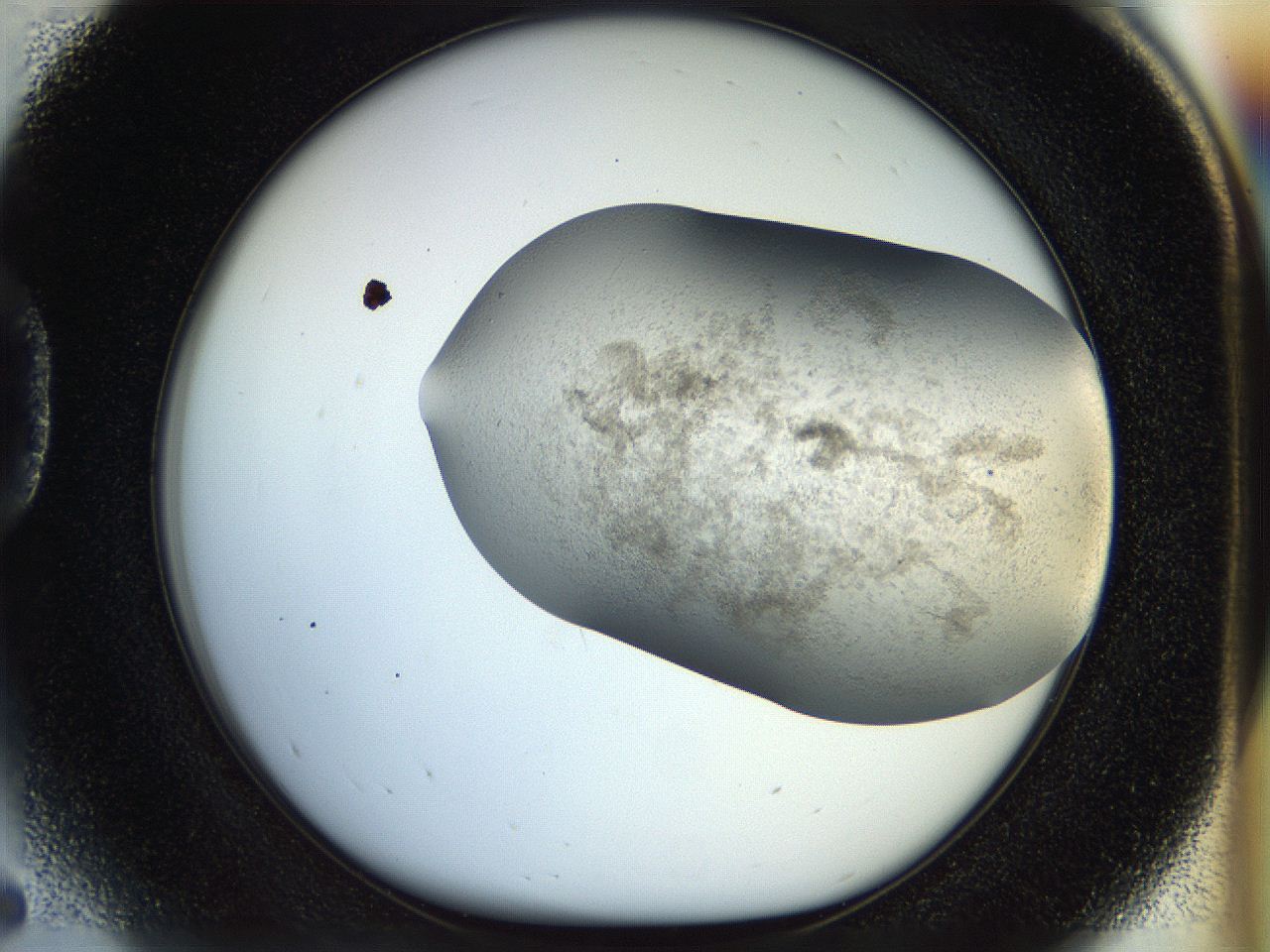 056m_D5_ImagerDefaults_2.jpg