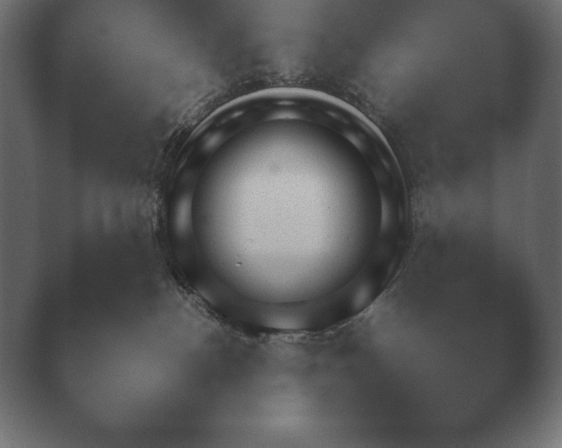X0000040560188200411021438.png