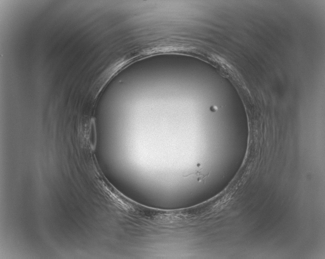 X0000055061185200508161638.png