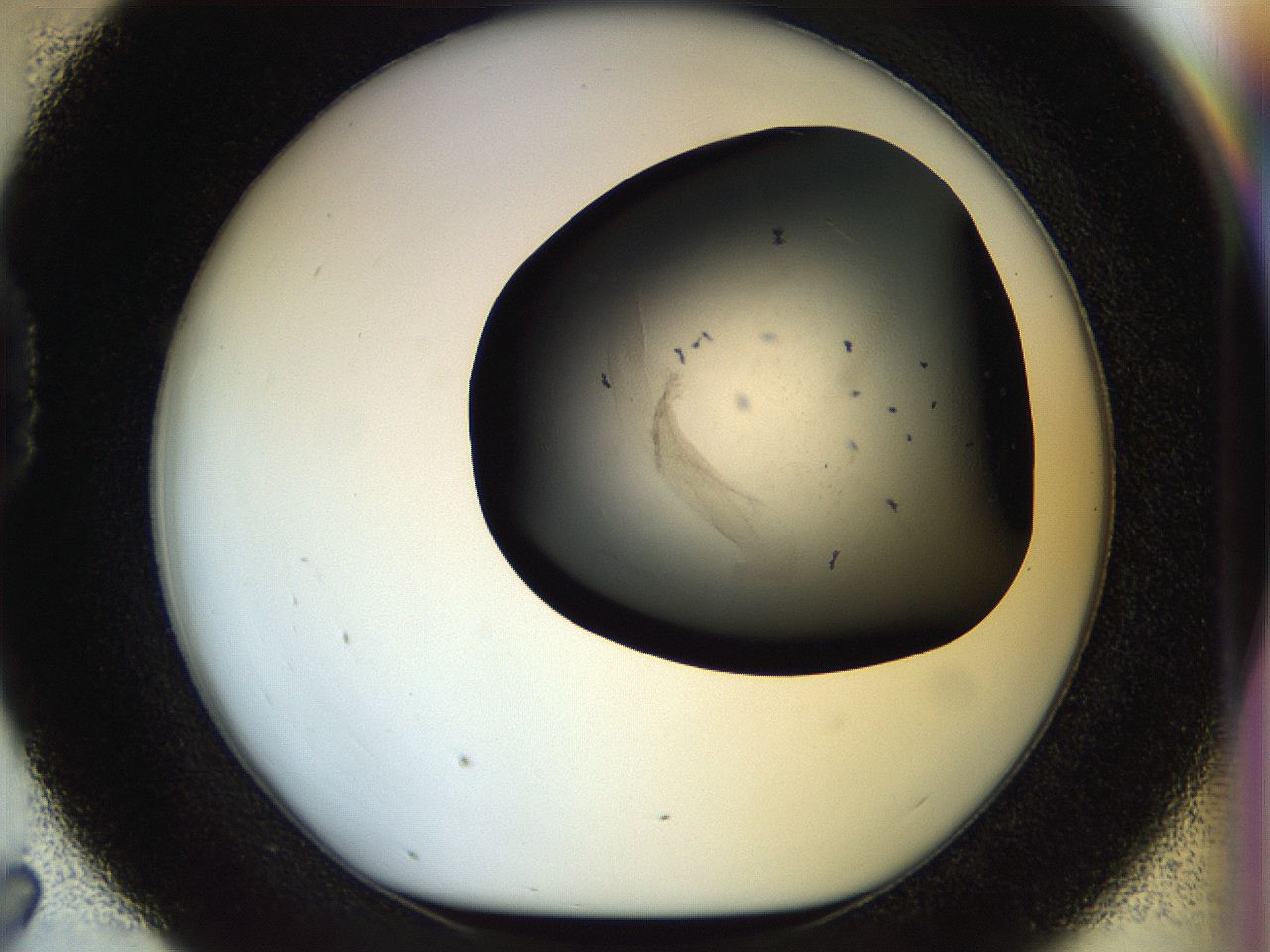 056m_D7_ImagerDefaults_6.jpg