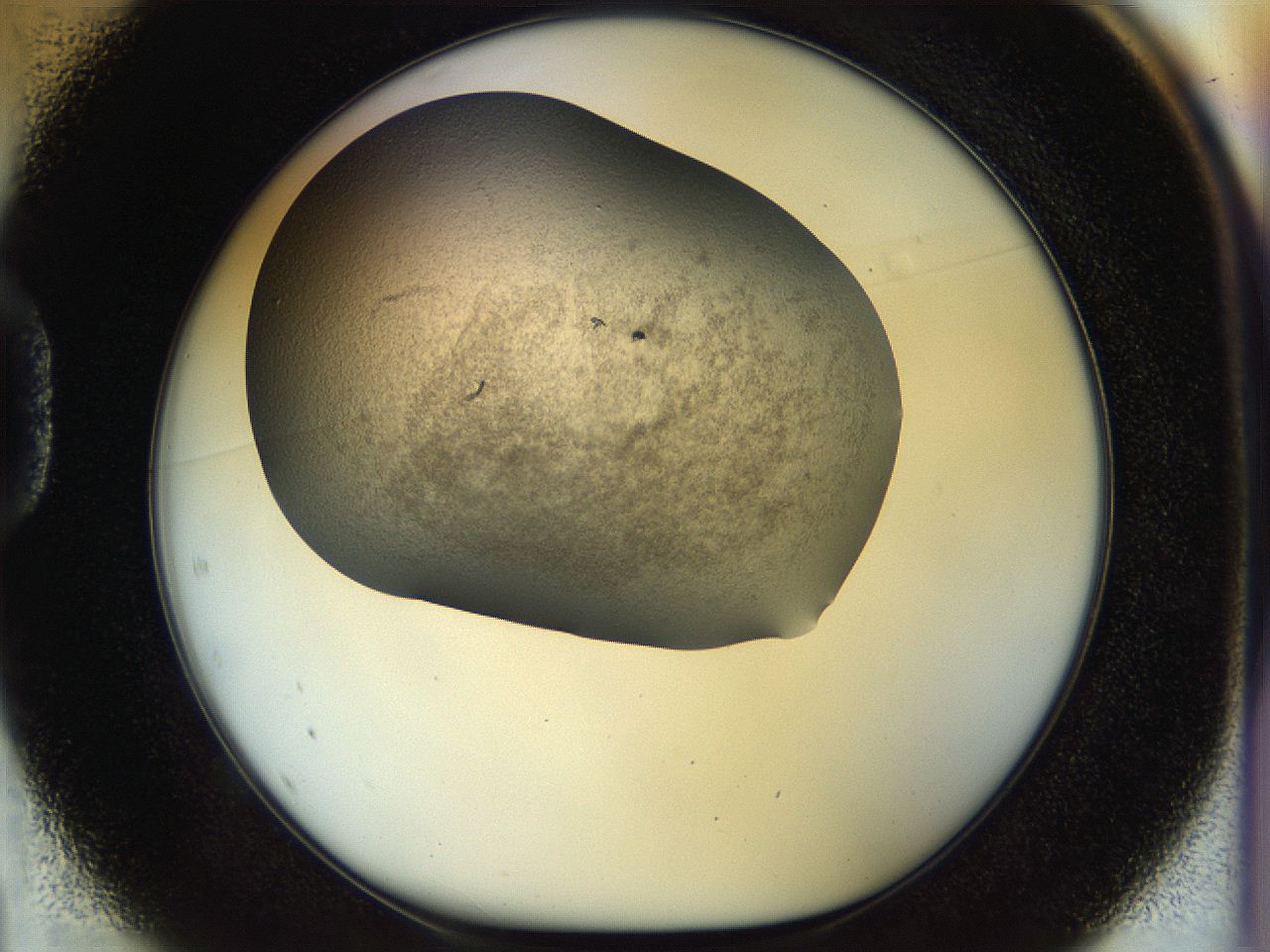 056m_D1_ImagerDefaults_2.jpg