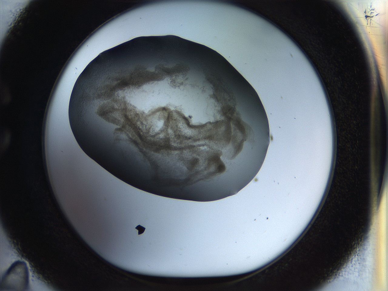 056m_C11_ImagerDefaults_3.jpg