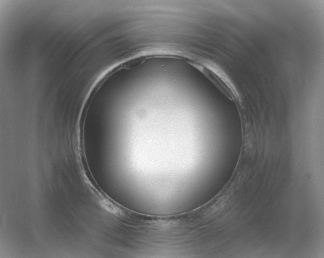 X0000054330996200508111914.png