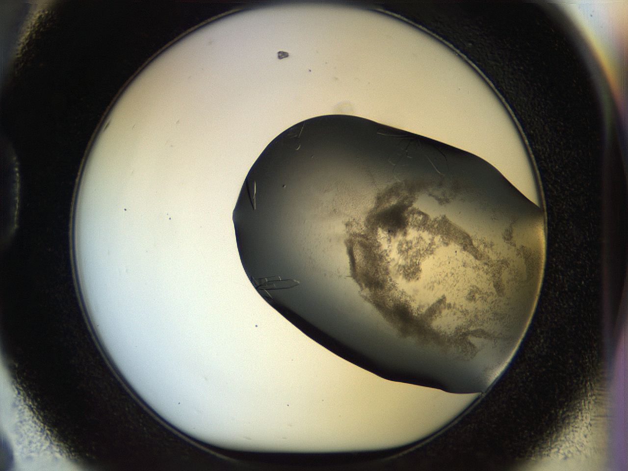 056m_D8_ImagerDefaults_8.jpg