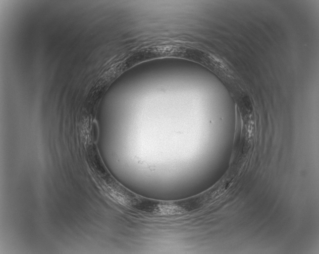 X0000055060605200508161647.png
