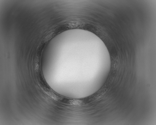 X0000055210226200508301330.png