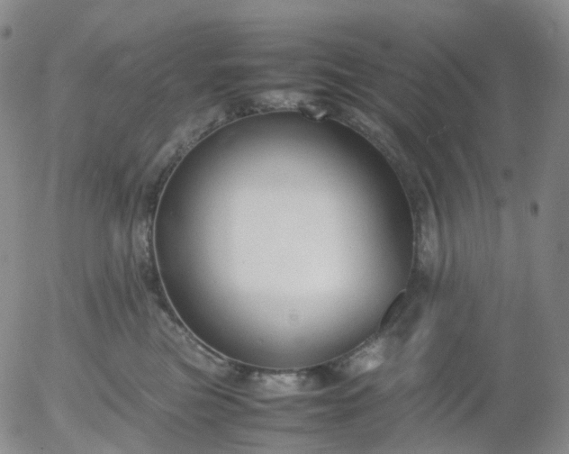 X0000054650473200508091646.png