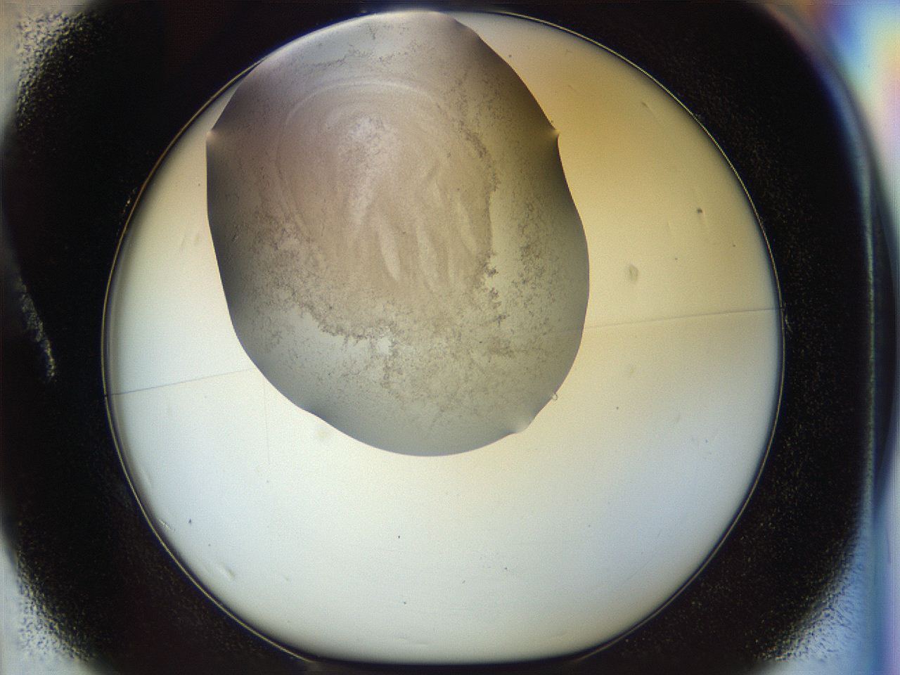 056m_A1_ImagerDefaults_3.jpg