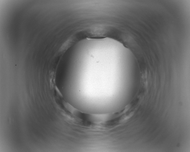 X0000054330237200508111927.png