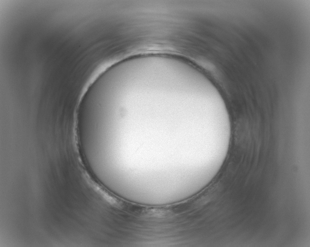 X0000054331374200508111908.png