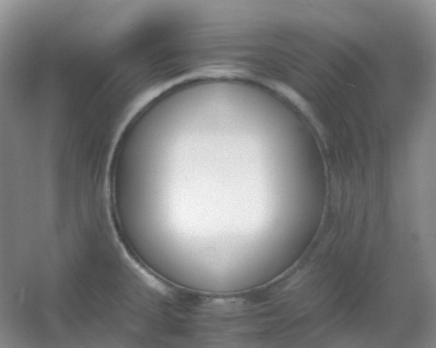 X0000054331335200508111909.png