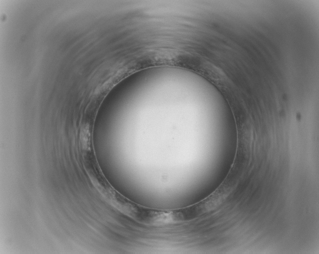 X0000055070083200508232340.png