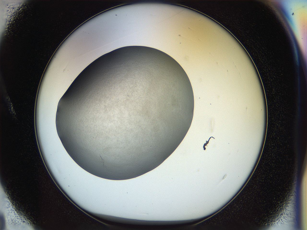 056m_A4_ImagerDefaults_2.jpg