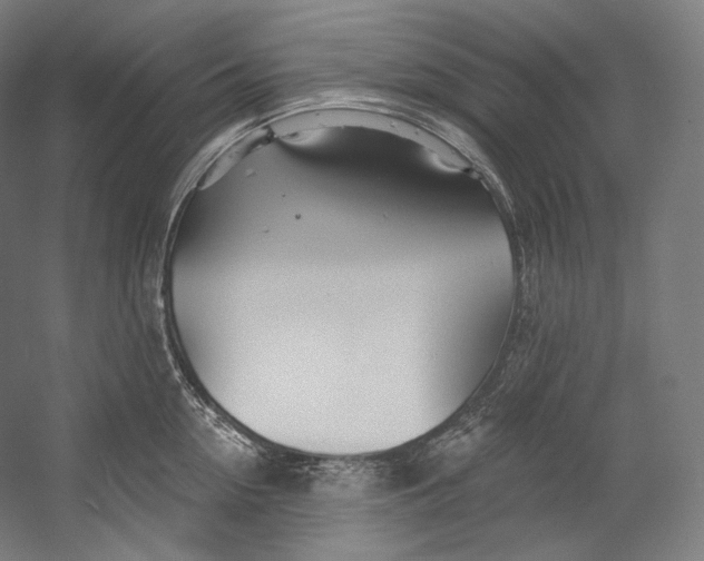 X0000055210954200508301318.png