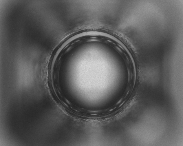 X0000047470794200503091558.png