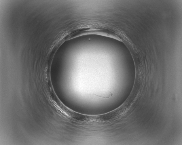 X0000055060585200508161648.png