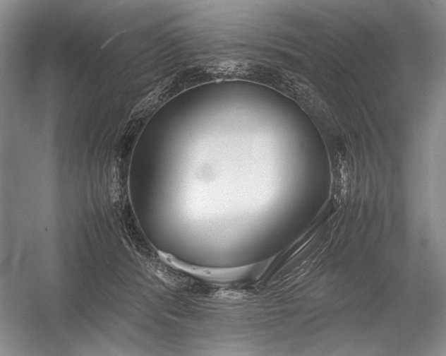 X0000055060416200508161651.png