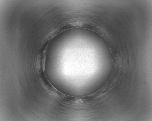 X0000054330600200508111921.png