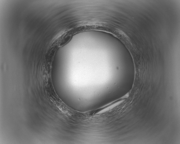 X0000055061064200508161640.png