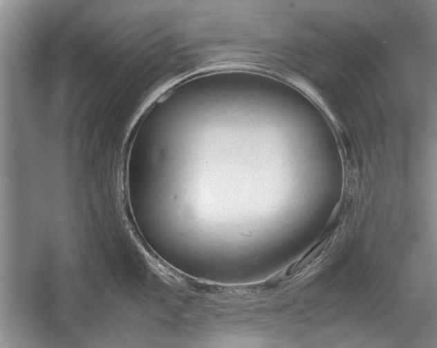 X0000055061101200508161639.png