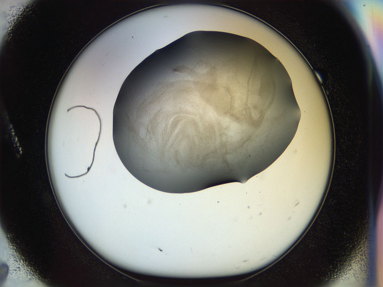 056m_A7_ImagerDefaults_2.jpg