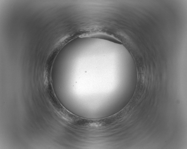X0000054330692200508111919.png
