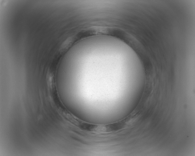 X0000054330123200508111929.png