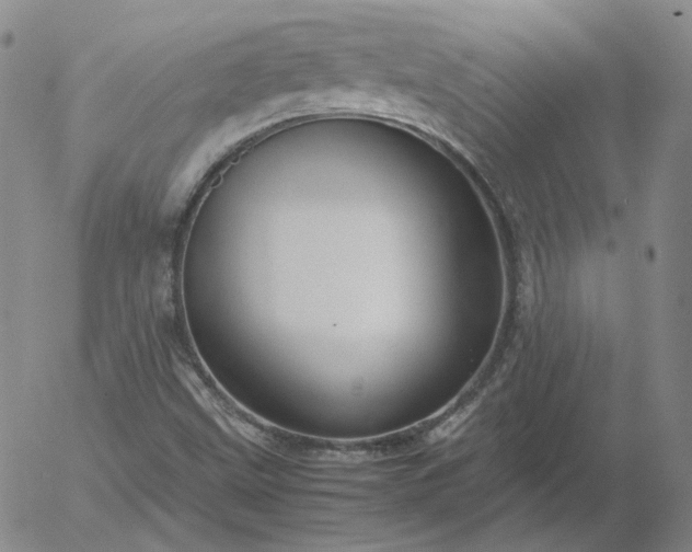 X0000054651499200508091628.png