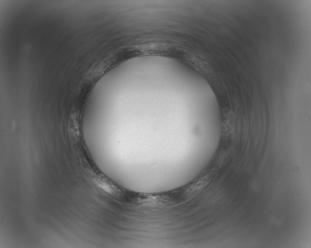 X0000055210430200508301326.png