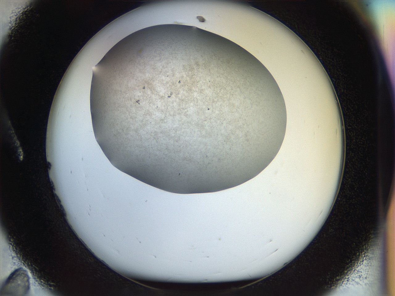 056m_A11_ImagerDefaults_2.jpg
