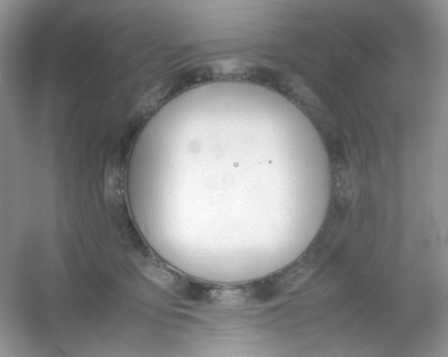 X0000054330419200508111924.png