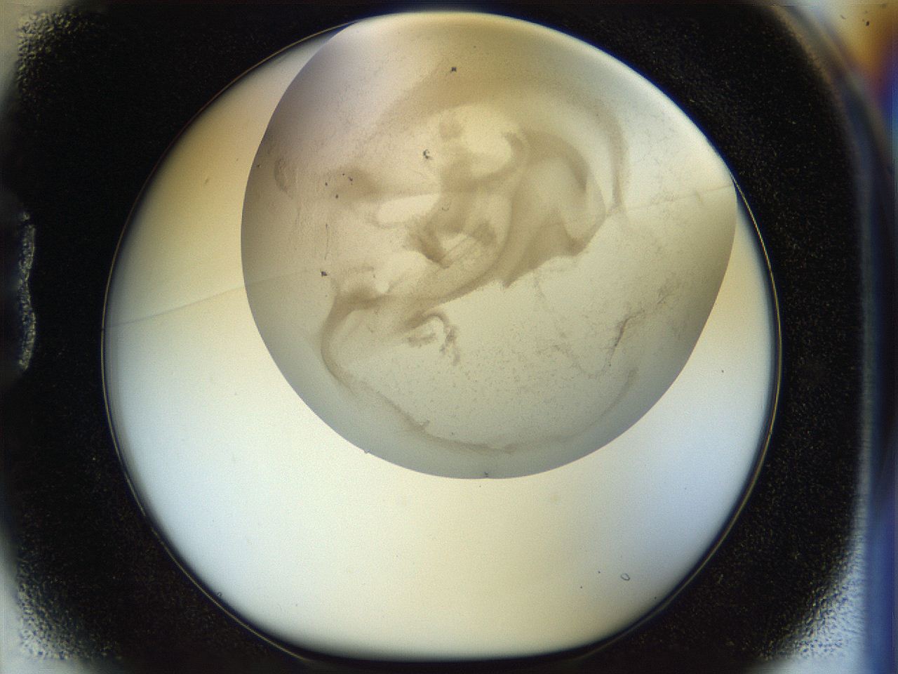 056m_B1_ImagerDefaults_3.jpg