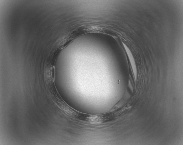 X0000055060425200508161650.png
