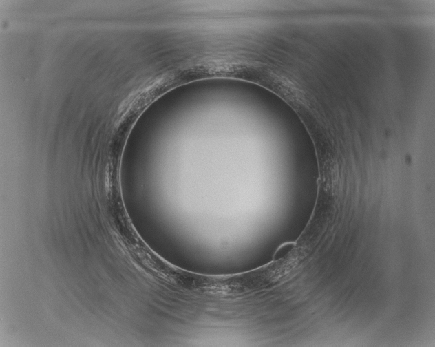 X0000054650740200508091641.png