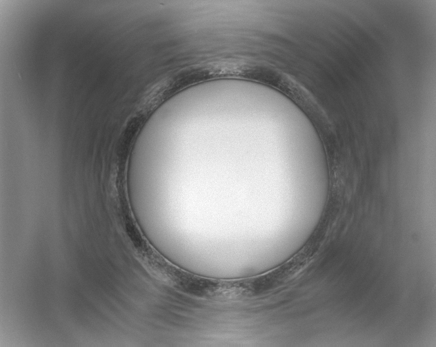 X0000054270209200508261925.png