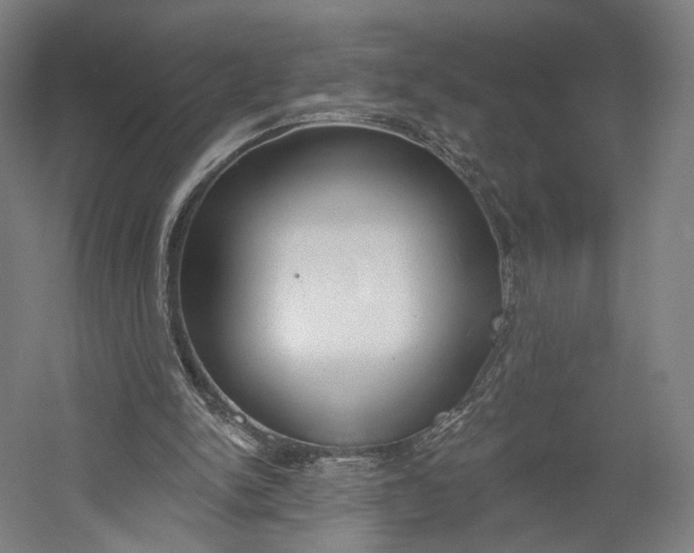 X0000055210150200508301331.png
