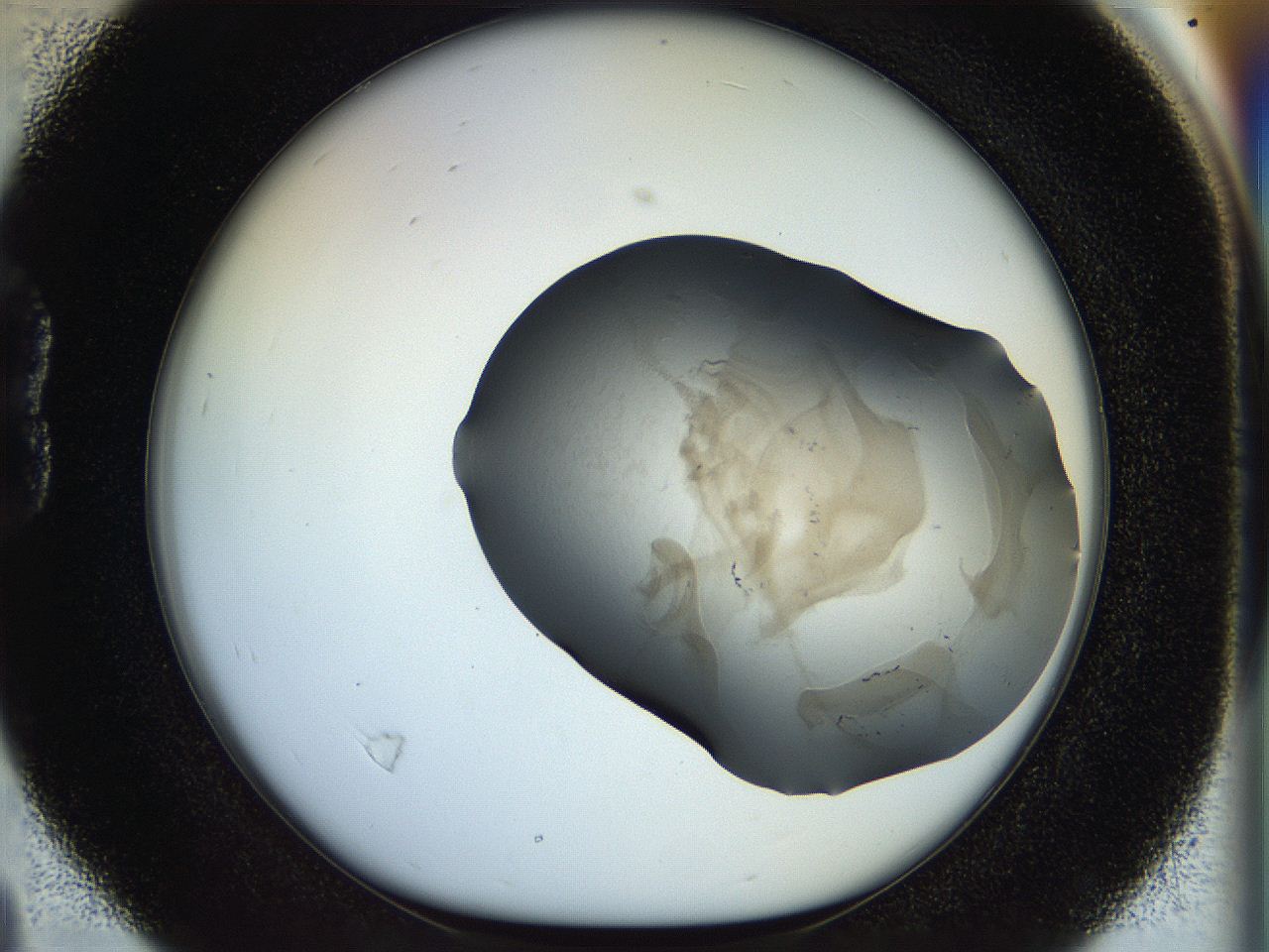 056m_B4_ImagerDefaults_3.jpg