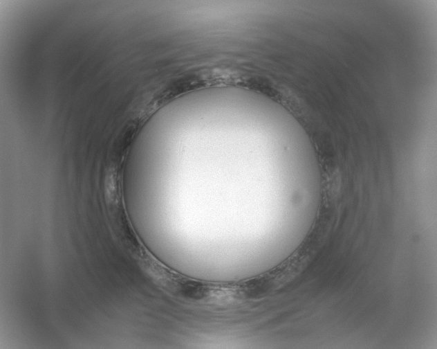 X0000054330709200508111919.png