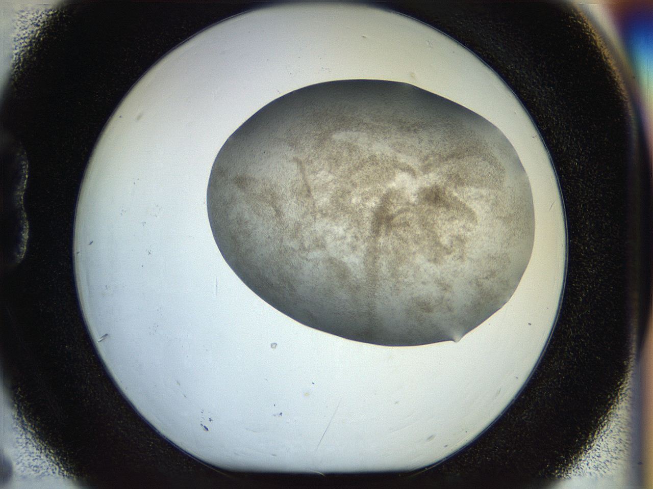 056m_B6_ImagerDefaults_3.jpg