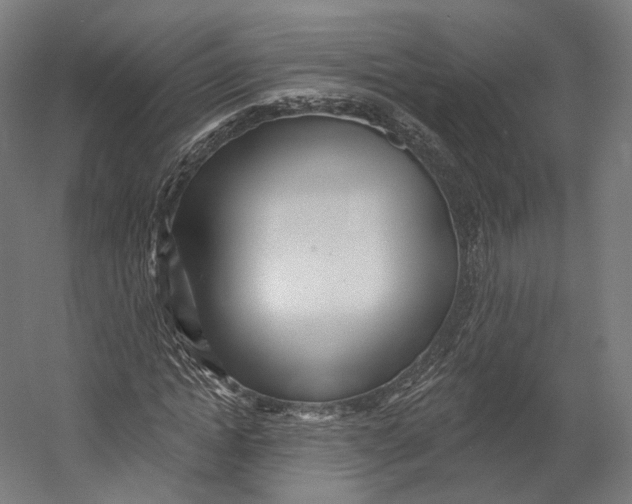 X0000055210822200508301319.png
