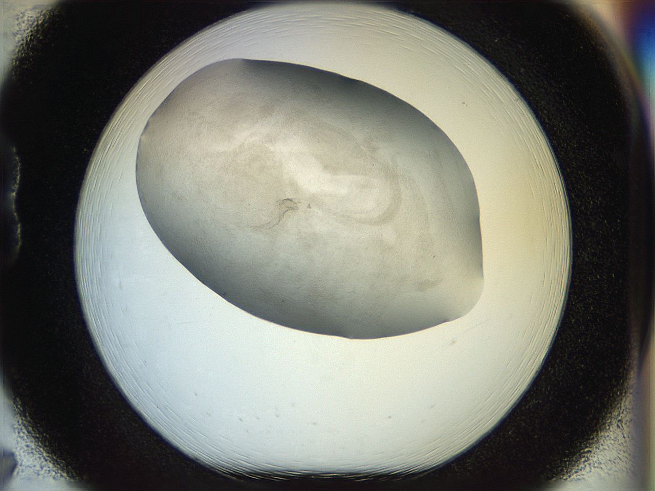 056m_B7_ImagerDefaults_2.jpg