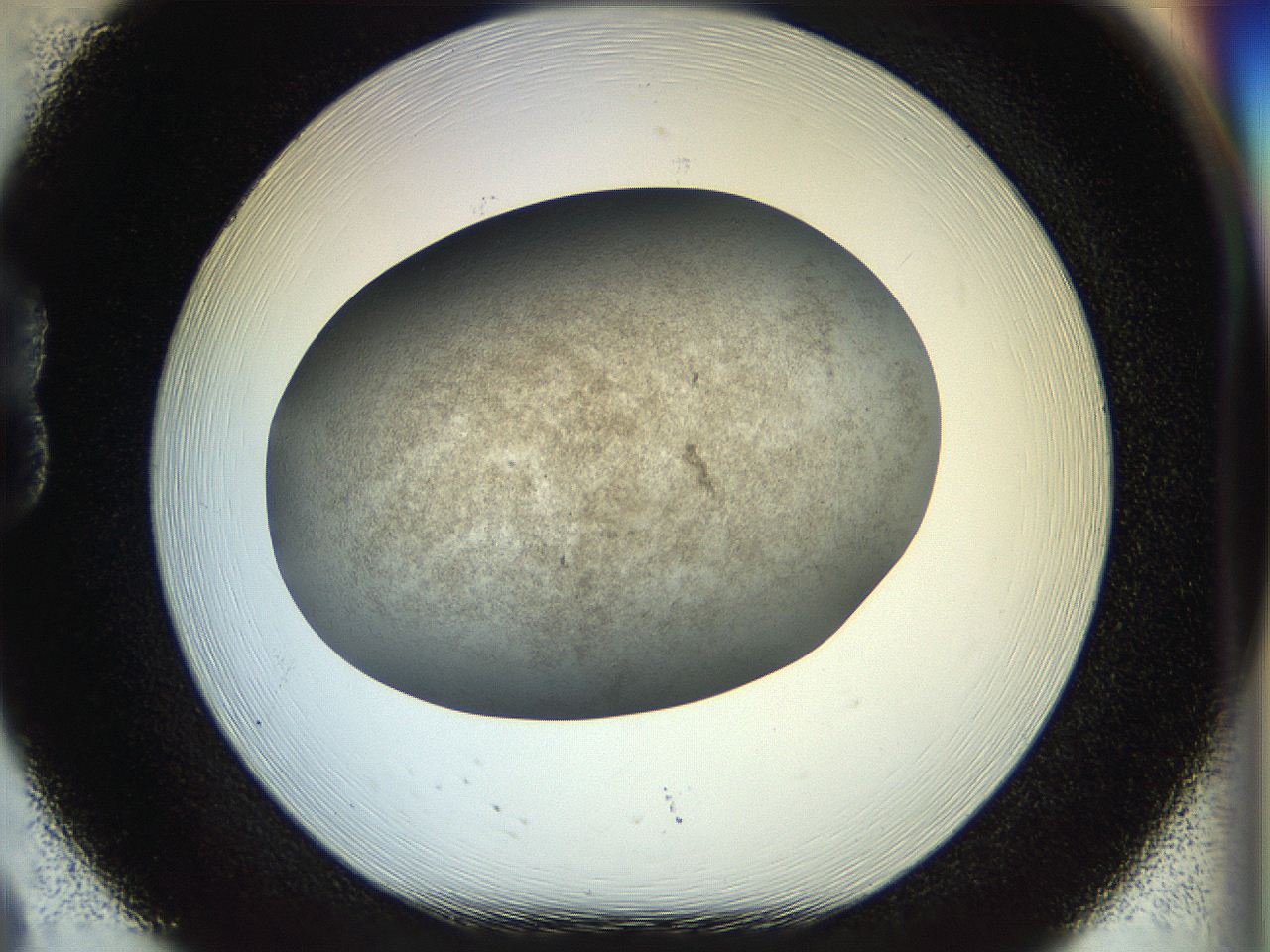 056m_B8_ImagerDefaults_3.jpg