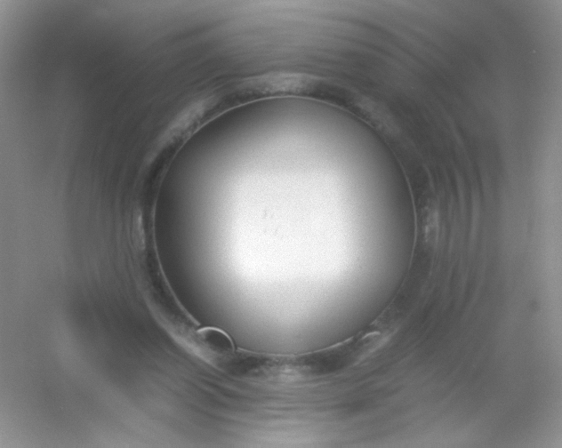 X0000054330254200508111926.png