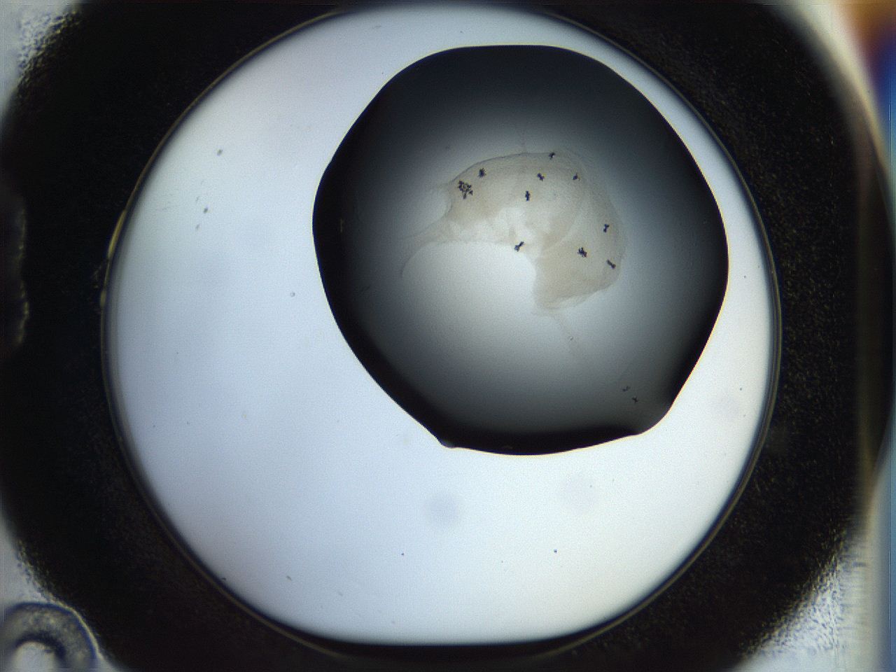 056m_B10_ImagerDefaults_6.jpg