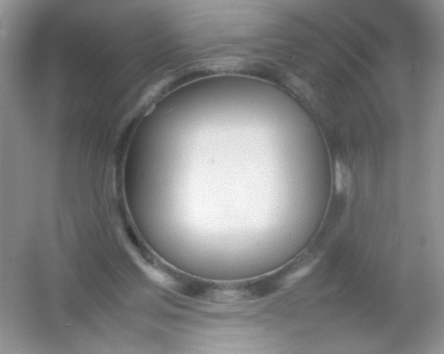 X0000054330205200508111928.png