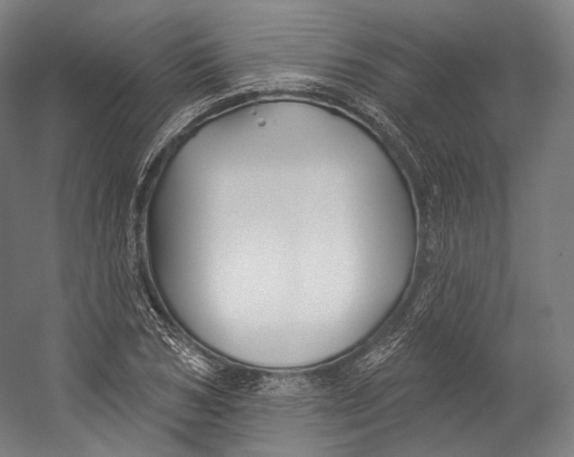 X0000055210978200508301317.png